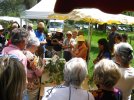 131 Atelier plantes
