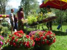 60 le jardin des Salettes