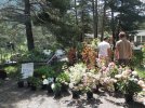 Le jardin des Salettes Les Orres 04