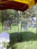 140 Serre Che Nature