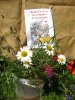 5 Festival des plantes